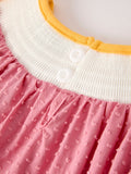 Fall Thanksgiving Turkey Leaf Embroidery Smocking Bow Girls Dress - 4
