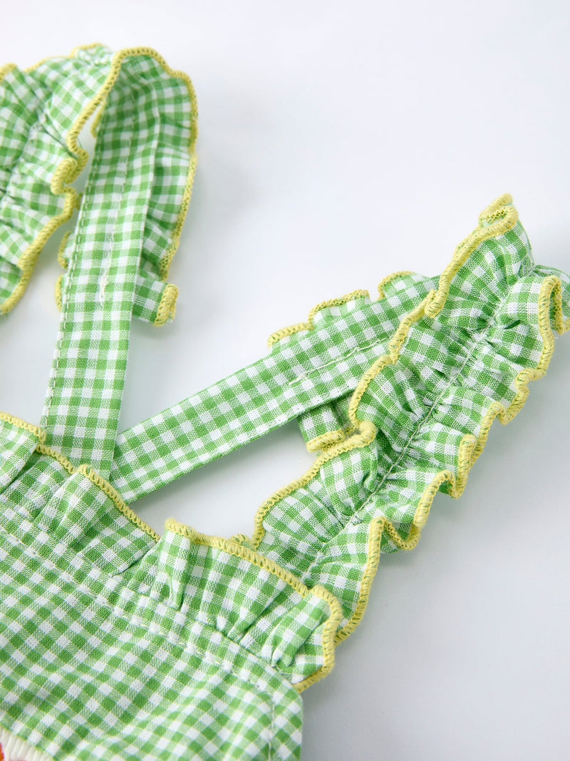 Spring Turtle Smocked Baby Girls Dress - 3