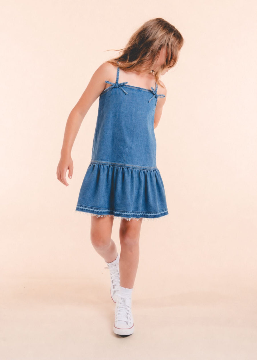 Jolene Denim Dress 