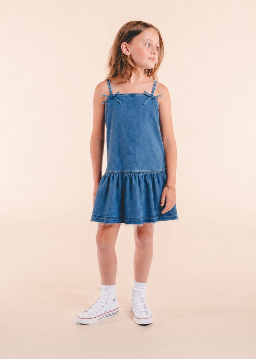 Jolene Denim Dress 