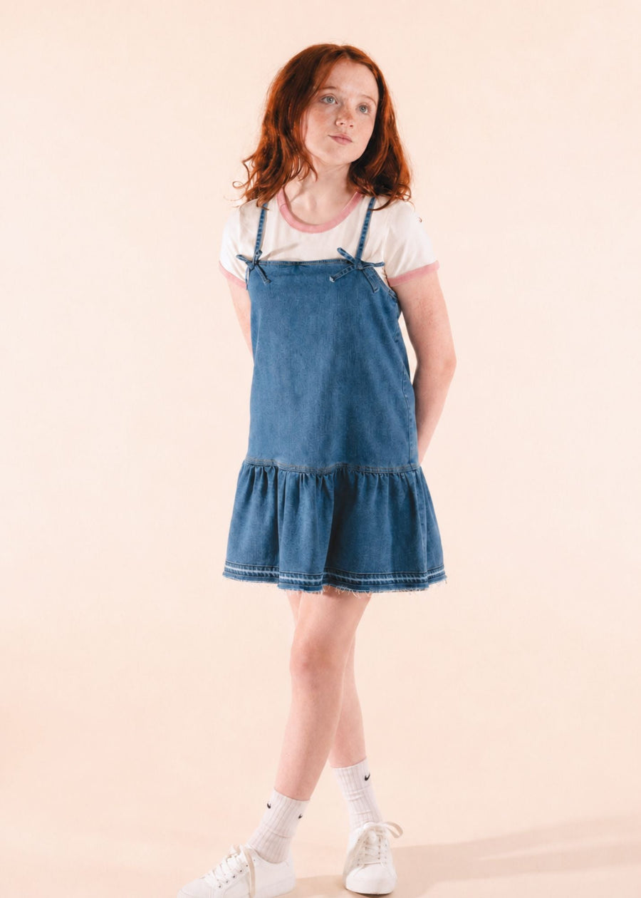 Jolene Denim Dress 