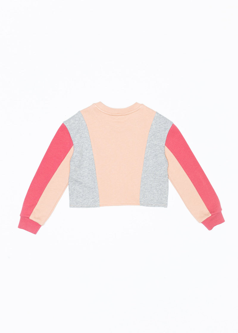Field Day Sweatshirt - 4