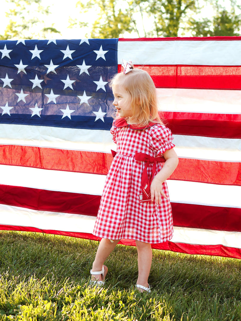 Girls 4th of July Flag Plaid Dress with Peter Pan Collar - 3