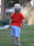 Boys Back to School Pencil Apple Applique Plaid Shorts Set - 3