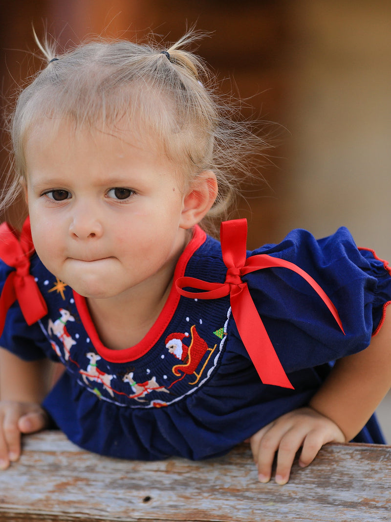 Christmas  Holiday Celebration Dress: Navy with Santa Sleigh - 4
