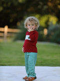 Christmas Tree Dog Smocking Embroidered  Plaid Boys Set - 6